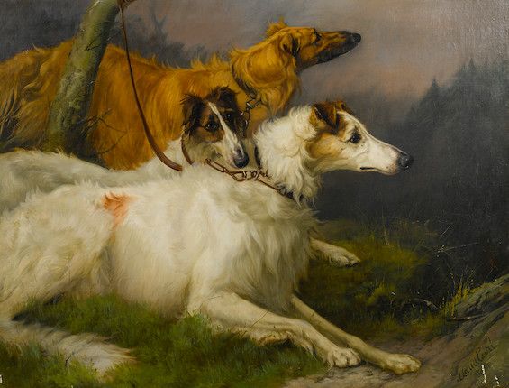 Celebrating the Sighthound